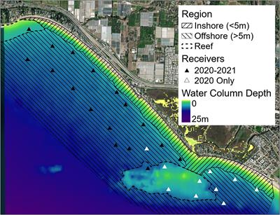 The influence of micro-scale thermal habitat on the movements of juvenile white sharks in their Southern California aggregation sites